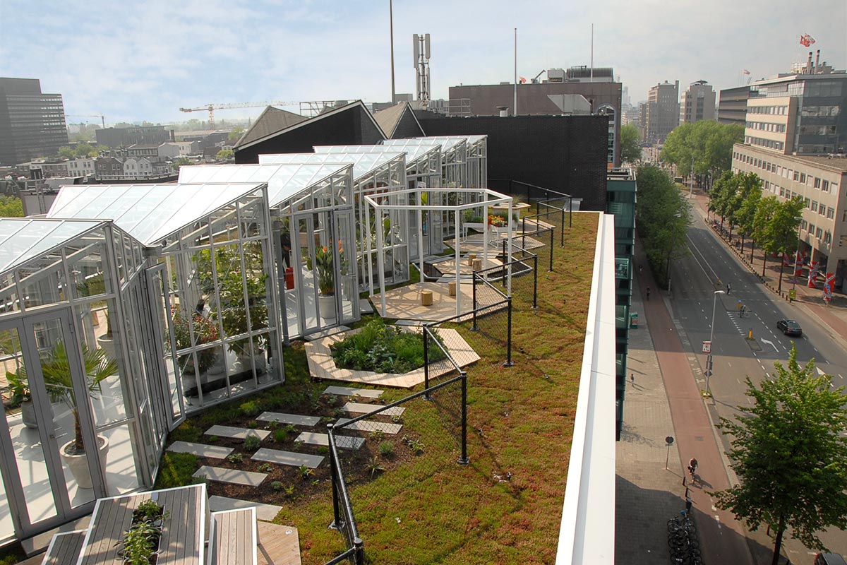 Zoku Amsterdam Dakpark Daktuin Groendak Dakdokters