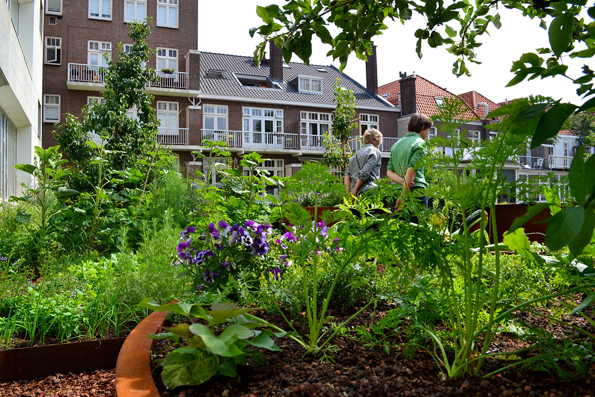 Dakdokters Dakpark Daktuin Court Garden