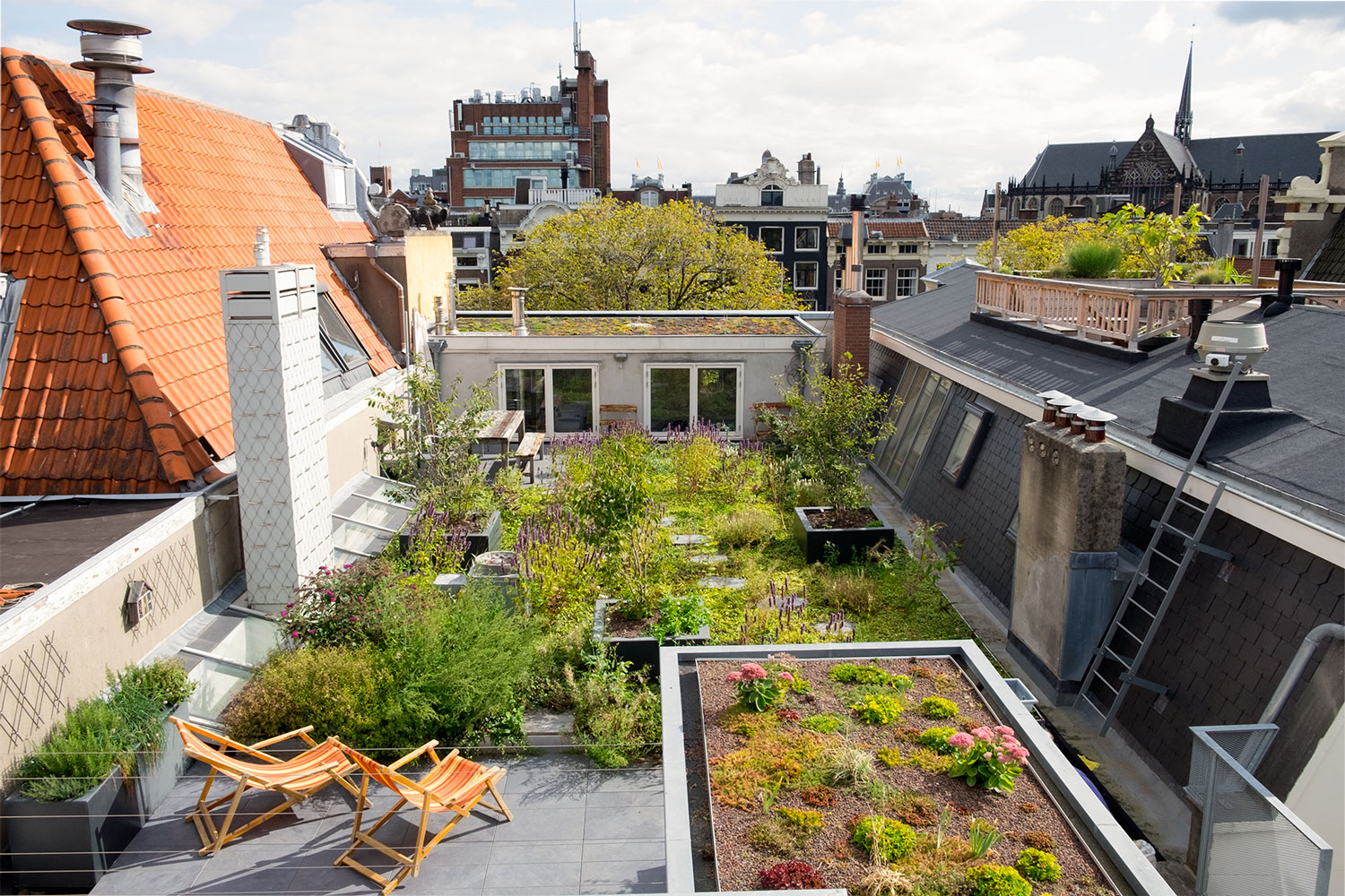 Dakdokters Amsterdam - Groendak Daktuin Dakterras - Daktuin Centrum